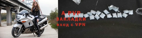 ешки Алексин