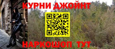 гидропоника Гусь-Хрустальный